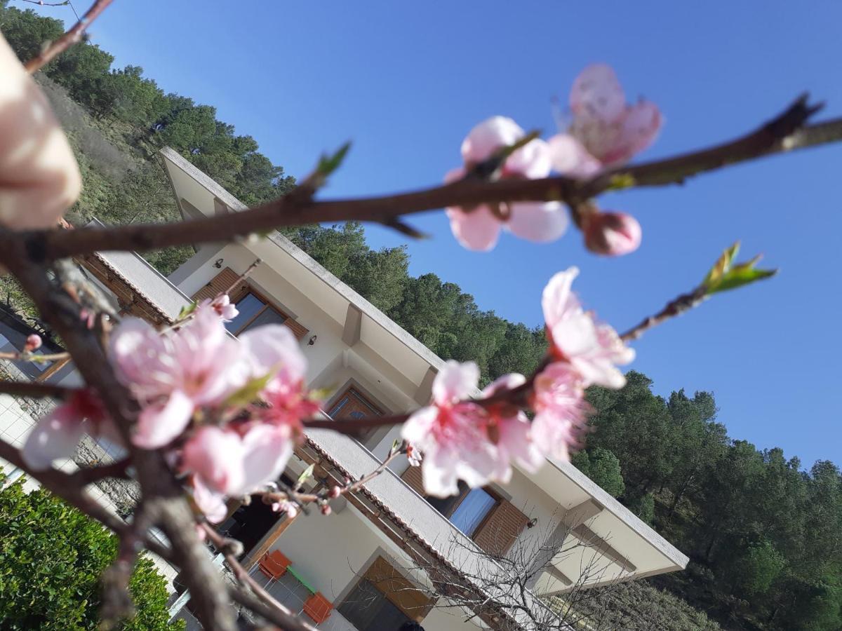 Kanushi House Gjirokastër 외부 사진